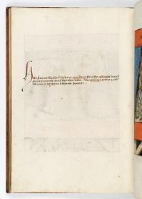 Einzug der Johanna von Kastilien in Brüssel am 9. Dezember 1496: Lebende Bilder: Kommentar zu Der Traum des Astyages von dem Weinstock, der aus seiner Tochter Mandanes erwächst.
