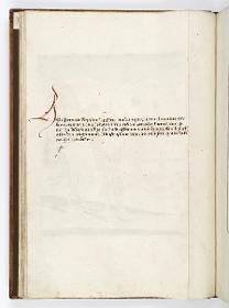 Einzug der Johanna von Kastilien in Brüssel am 9. Dezember 1496: Kommentar zu Einige Kinder verspotten den Narren Histrio