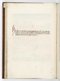 Einzug der Johanna von Kastilien in Brüssel am 9. Dezember 1496: Kommentar zu Acht rotgekleidete "Pacificatores" zu Pferd