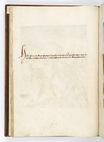 Einzug der Johanna von Kastilien in Brüssel am 9. Dezember 1496: Kommentar zu Weißgekleidete Masken mit langen Nasen, hellroten Mützen, fahren in einem Schlitten, der von einem berittenen Schimmel gezogen wird