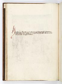 Einzug der Johanna von Kastilien in Brüssel am 9. Dezember 1496: Kommentar zu Eine äthiopische Prinzessin auf einem weißen Pferd, von grünen, maskierten wilden Männern mit Keulen begleitet wird