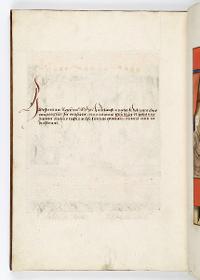 Einzug der Johanna von Kastilien in Brüssel am 9. Dezember 1496: Lebende Bilder: Kommentar zu Blick ein ein Freudenhaus (domus delicie et jocunditatis)