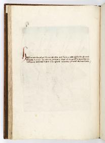 Einzug der Johanna von Kastilien in Brüssel am 9. Dezember 1496: Kommentar zu Zwei Reihen braun gekleideter Fackelträger der St. Georgsgilde