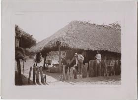 Wilhelm Kissenberth in Burití dos Cavallos, nahe des Canela-Dorfs