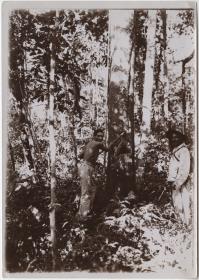 Kissenberths Begleiter Bento und Sr. Cesar auf Honigsuche in der Serra da Conceição