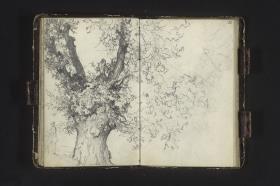 Alter Baum
