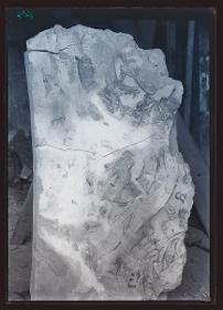 Malereien: al-Dschausaq al-Chaqani, Harem