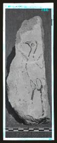 Malereien: al-Dschausaq al-Chaqani, Harem, Tänzerin
