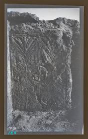 Privathäuser, Stuck, Haus II, Zimmer 41 (Ornament Nr. 205)