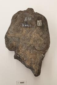 Torso eines stehenden Buddha in Schutzgeste (abhaya-mudra)
