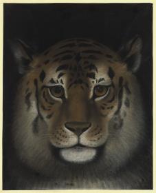 Tigerkopf