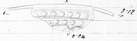 Fragment von Schildrand (?)