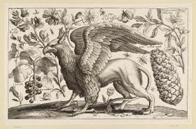 Der Greif, aus der zwölfteiligen Folge Animalium, Ferarum, & Bestiarum