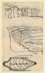 Imaginäre Skizze, Recto und Verso