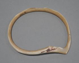 tokejok (laut Kubary)