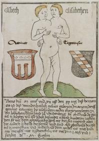 Siamesische Zwillinge von Ertingen