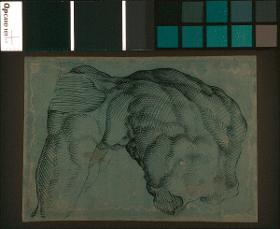 "Torso Belvedere"