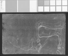 Torso Belvedere und Fragment eines Obelisken