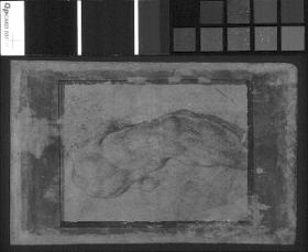 Detailstudie nach einem "Ignudo" der Sixtinischen Decke
