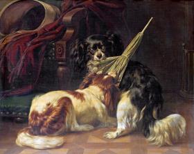 Spielende Hunde