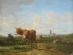 Kühe auf der Weide