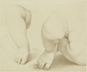 Kinderbeinstudien
