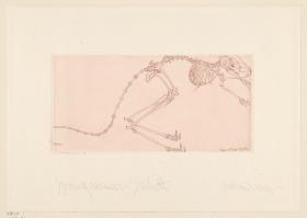 Springmaus-Skelett