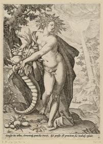 Die vier Elemente: Erde