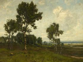Landschaft mit Birken