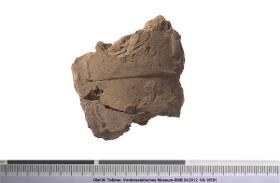 Tonverschlussfragment mit Siegelabrollung
