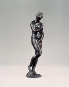Venus Marina