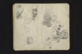 Tierstudien: Vogel, Katze, Schwein, Nilpferd
