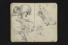 Eisbären, Wildschweine in der Ménagerie du Jardin des Plantes