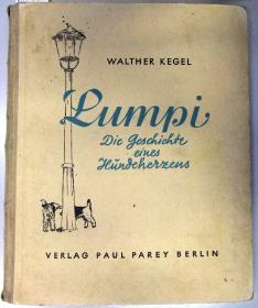 Lumpi – Die Geschichte einer Hundeherzens