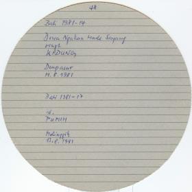 Schumacher Bali 1981