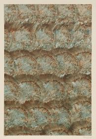 Kleisterpapier