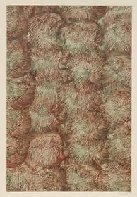 Kleisterpapier