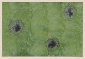 Kleisterpapier (drei Blüten)