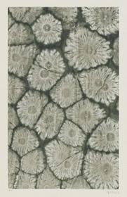 Kleisterpapier (mit Sonnenmarmormotiven)