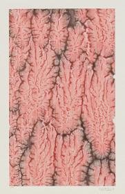Kleisterpapier