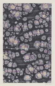Kleisterpapier (mit Sonnenmarmormotiven)