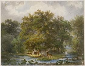 Waldlandschaft mit Hirschen und Reiher am Bach