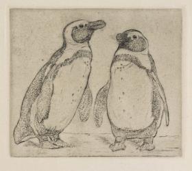 Zwei Pinguine