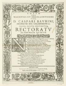 Rahmenleiste mit Blumen und Insekten