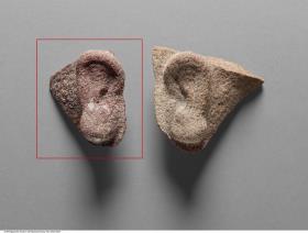 Fragment eines rechten Ohres einer Statue