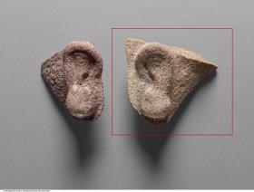 Fragment eines linken Ohres einer Statue