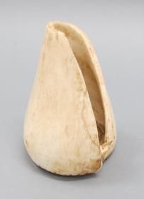 iatau (laut Born)