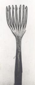 Fischspeer, Siebenzack