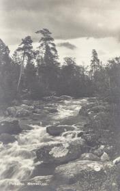 Petsamo. Kornettijoki.