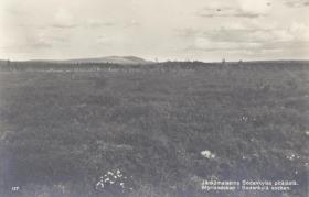 Jänkämaisema Sodankylan pitäjästä (Moorlandschaft in Sodankylä)